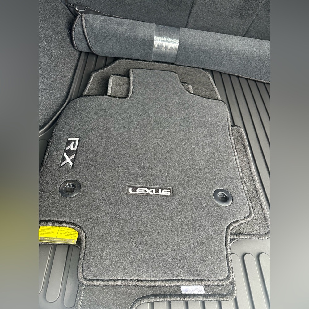 Lexus RX 350 carpet floor mats